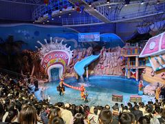 -烟台海昌鲸鲨海洋公园