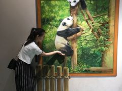 -成都泰迪熊博物馆