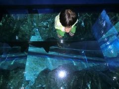 -暹罗海洋世界