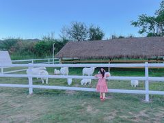 -水底山庄园温泉