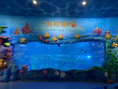 -西安曲江海洋极地公园