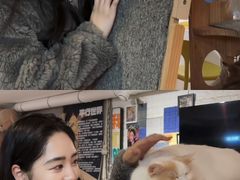 -平行世界·猫咖(首经贸店)