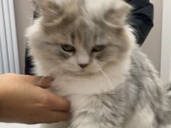 -宠颐生宠物医院·综合诊疗(先锋分院)