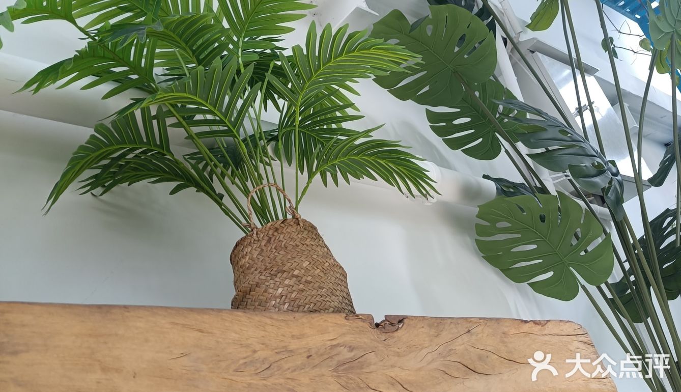 人在花间住人在草木中～咖啡馆里有个小小植物园