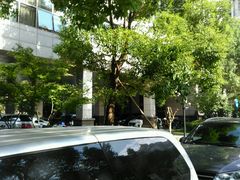 -上海美兆健康医疗体检中心(古北店)