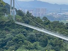 -南丹山森林王国