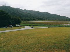 -艾米稻香小镇