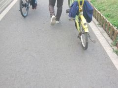 -白鹭湾湿地公园