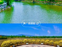 -北京张裕爱斐堡酒庄