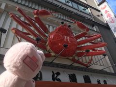 -蟹道乐(道顿堀本店)