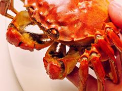 -美未居·老字号·地道顺德菜·桑拿鸡·鱼生(容桂店)