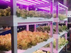 -佰园全日西餐厅-厦门佰翔软件园酒店