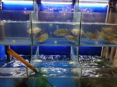 水产区-百家鲜·杭帮菜