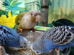 -正佳雨林生态植物园