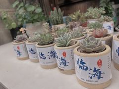 -紫阳古街