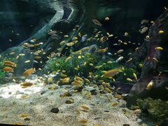 -福州罗源湾海洋世界旅游区