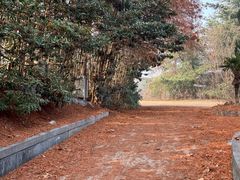 -太阳岛旅游度假区