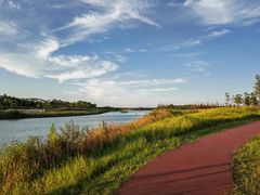 -春花秋色城市公园