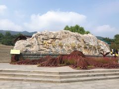 -北京西山国家森林公园