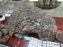 -杭州胡庆余堂第二中医门诊部