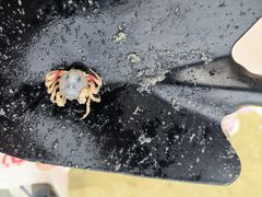 -北海金海湾红树林生态旅游区