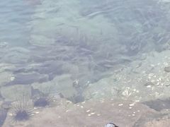 -麦哲伦丝绸度假村