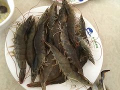 -春华海鲜城(广场西苑店)