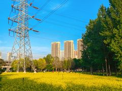 -长白岛森林公园