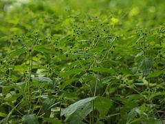 -汕头莲花山度假村温泉