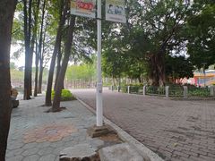 -金砂公园