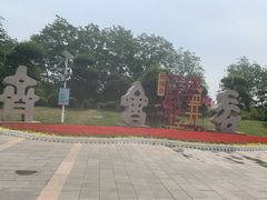 -济南国际园博园