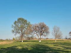 -汉长安城未央宫国家考古遗址公园