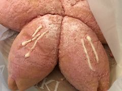 -奈雪的茶(大梅沙8号仓店)