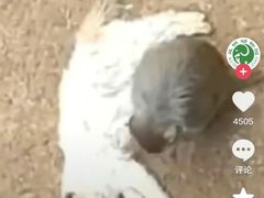 -昆明动物园