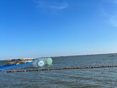 -碧海金沙