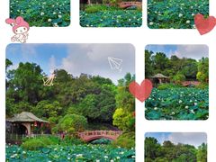 -广州莲花山旅游区