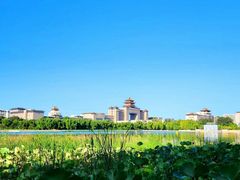 -莲花池公园