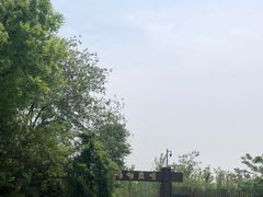 -泗洪洪泽湖湿地景区