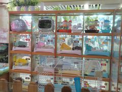 -宠物兔专门店(天丰利市场店)