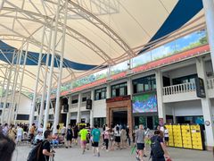 -雅鲁激流探险漂流