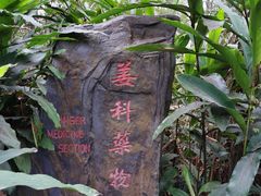 -广西壮族自治区药用植物园