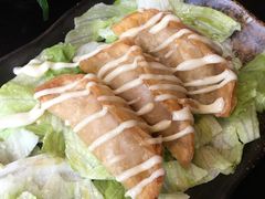 -春草居酒屋·晴子の店