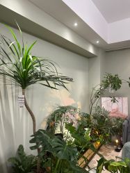 点击看大图 -Lumi露米·美甲美睫品质店