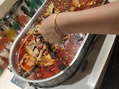 -比尔森韩式烤肉自助(绿园店)