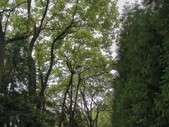 -重庆雨台山风景区