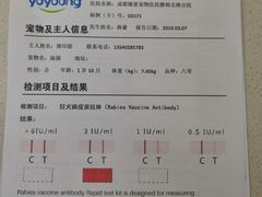 -安安宠医·臻爱宠物医院(簇锦北路分院)