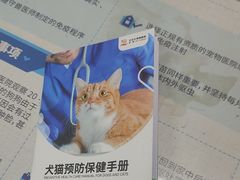 -艾贝尔宠物医院·狂犬免疫点(江山金象城店)