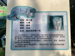 -青藏高原野生动物园