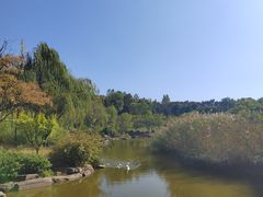 -鹦鹉寺公园