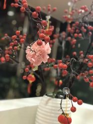 -珠海市妇幼保健院(柠溪院区)